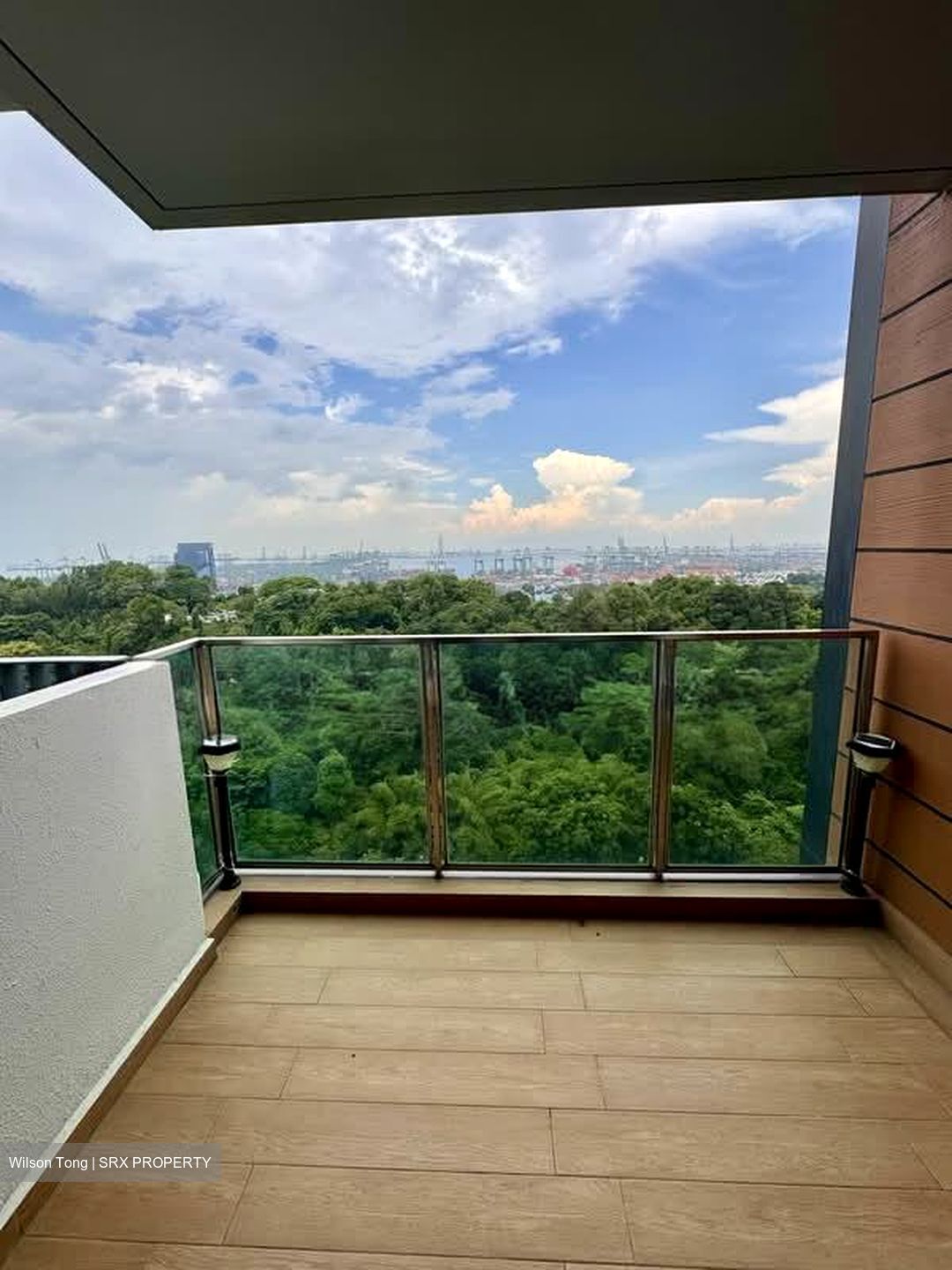 Normanton Park (D5), Apartment #563691731